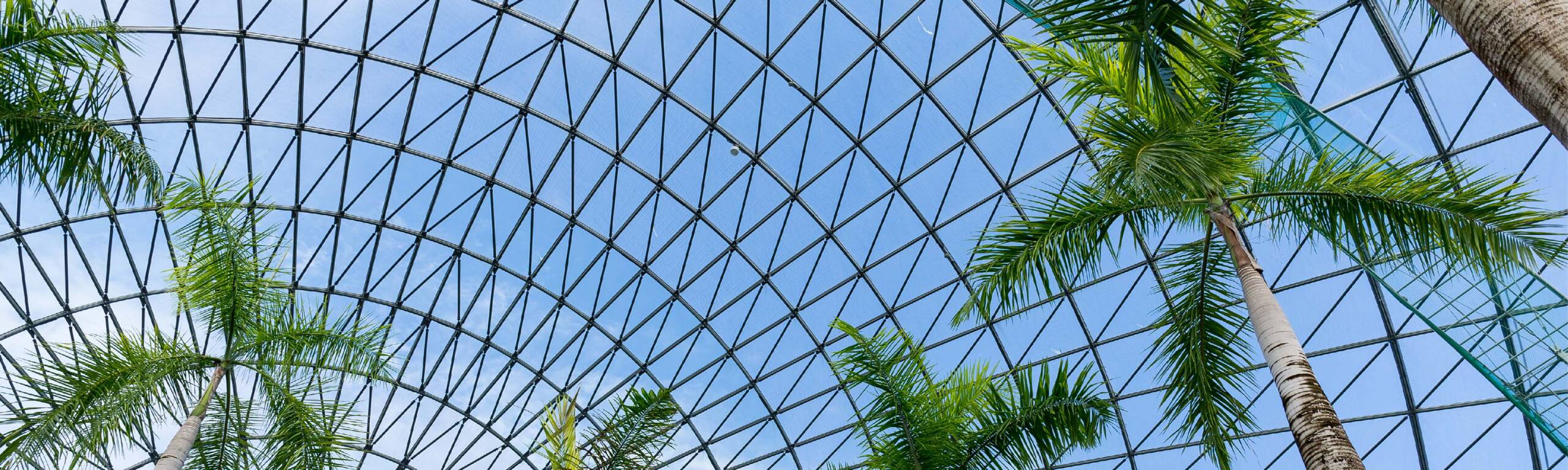 Shatterproof Glass Roof Panels